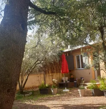 Apartamento La Vigne Et L'Olivier Villeneuve-lès-Avignon Exterior foto