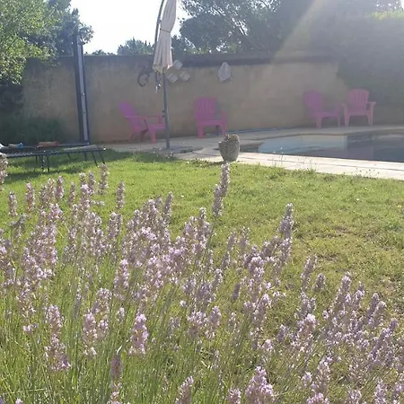 Apartamento La Vigne Et L'Olivier Villeneuve-lès-Avignon Exterior foto