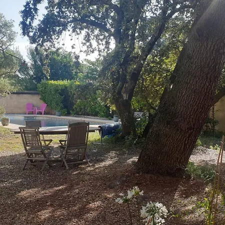Apartamento La Vigne Et L'Olivier Villeneuve-lès-Avignon Exterior foto