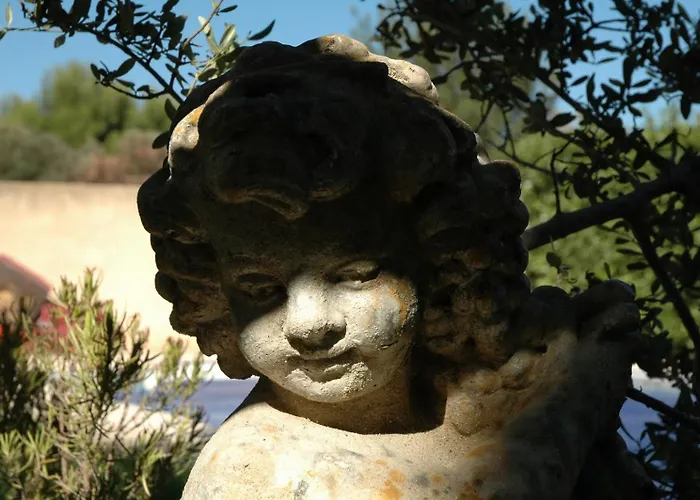 La Vigne Et L\'Olivier