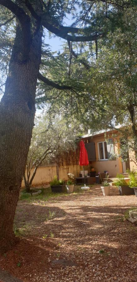 Appartement La Vigne Et L'olivier