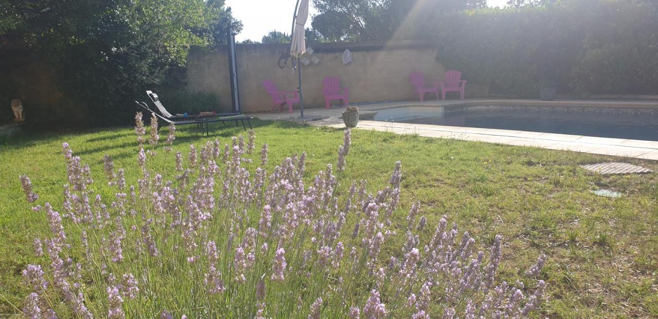 Apartment La Vigne Et L'olivier Villeneuve-lès-Avignon